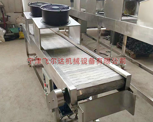 鑄件冷卻輸送機(jī)